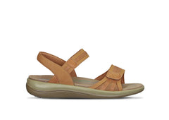 Paloma - Camel